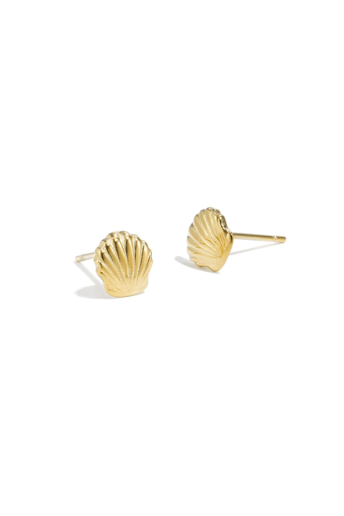 Ohrstecker aus Muscheln
