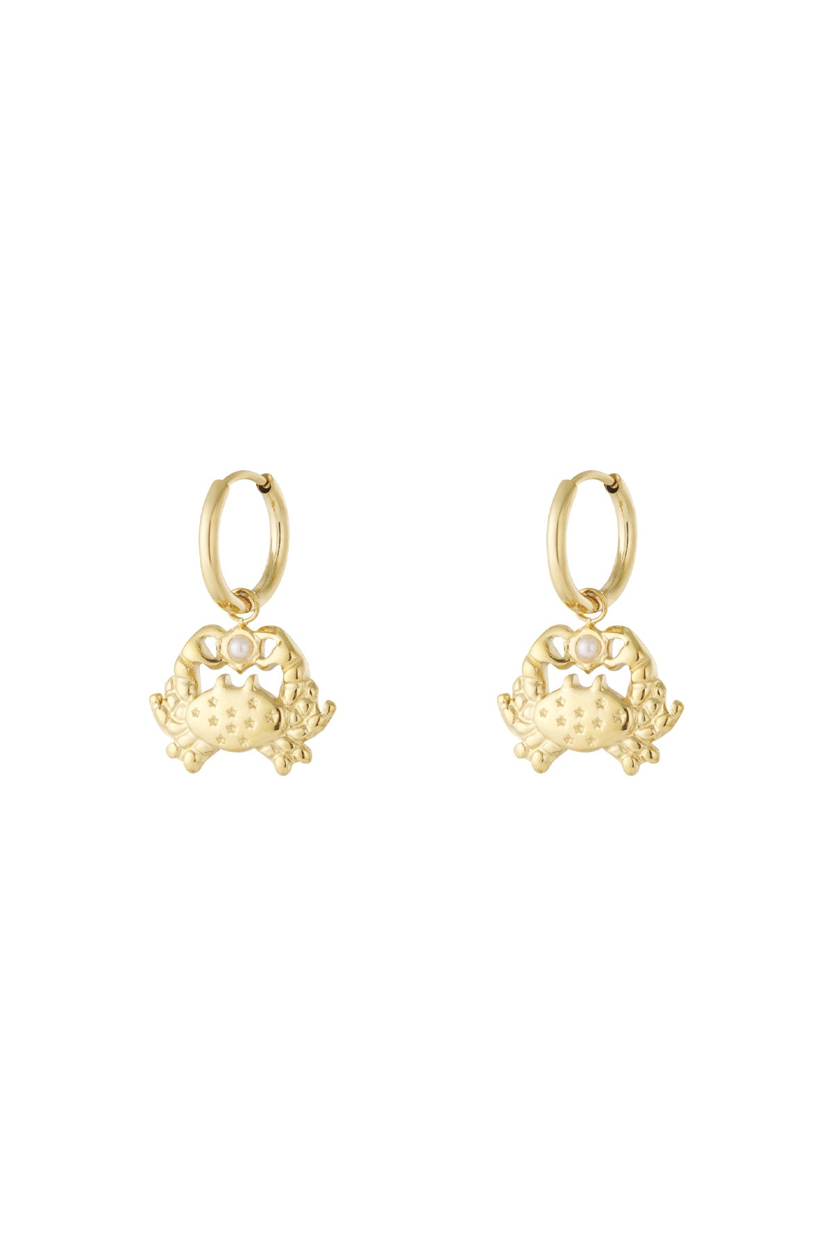 Tropfenohrringe Tier Casual Daily Simple Series Damenschmuck