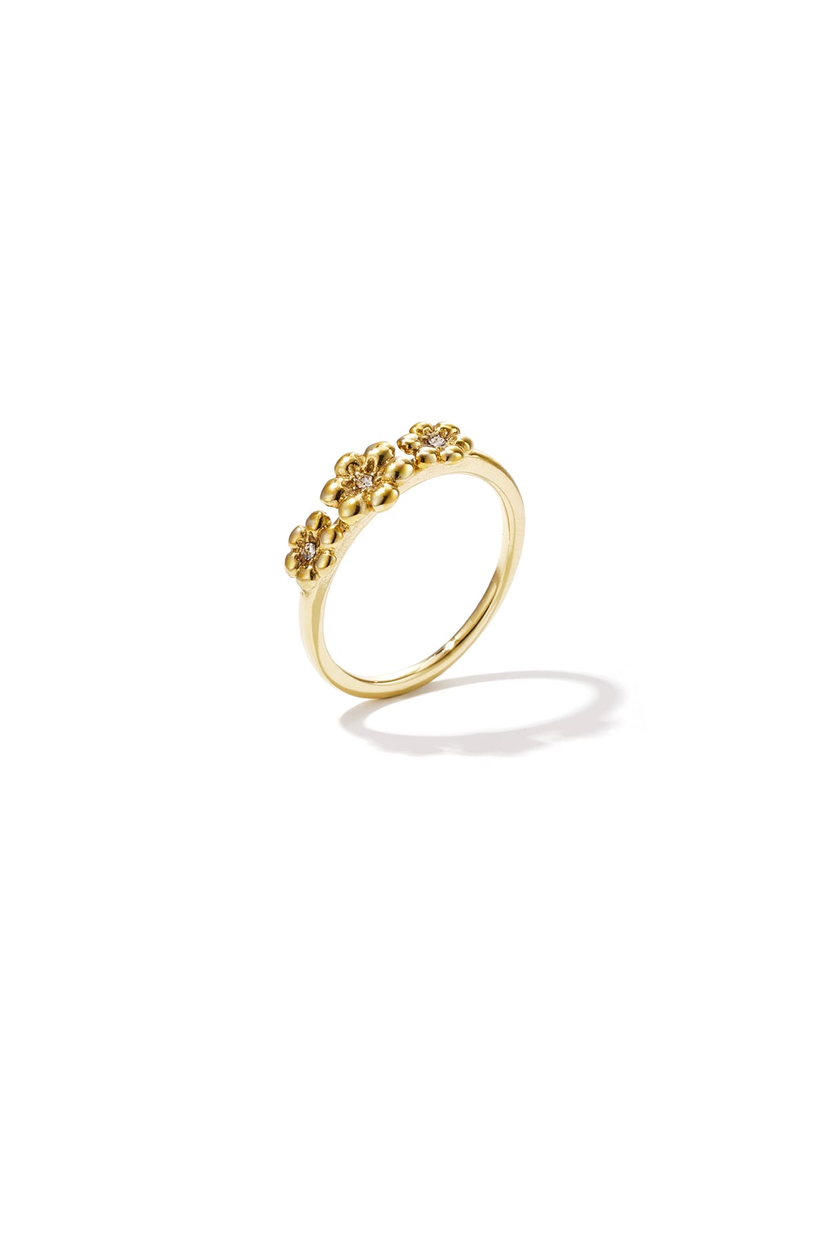 Ring mit Gänseblümchen und Steinen