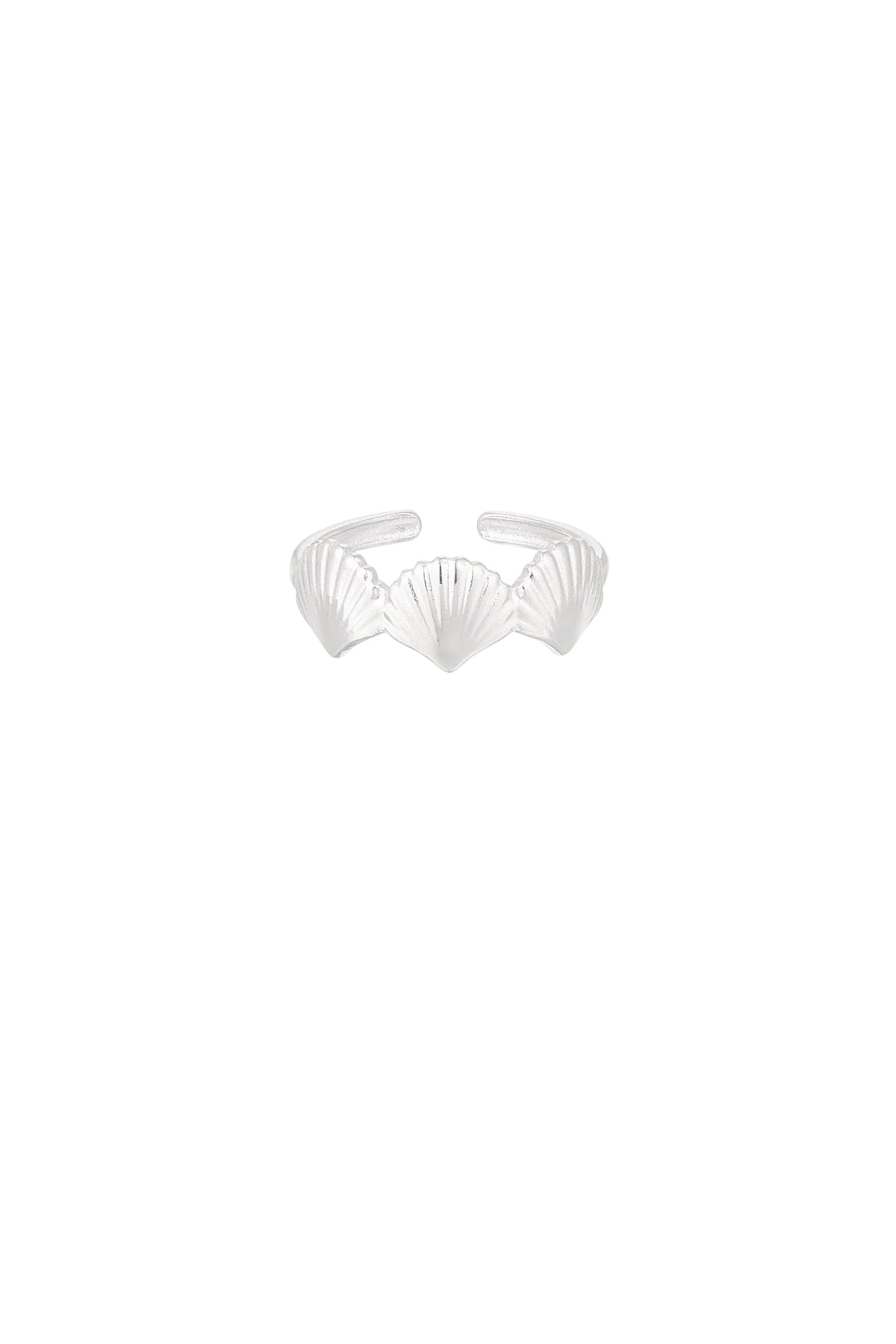 ring muschelliebhaber